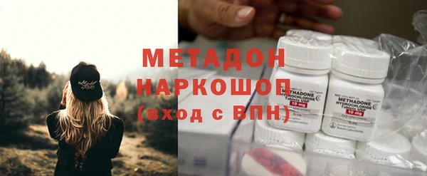 стаф Алексин