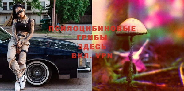 стаф Алексин
