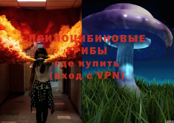 стаф Алексин