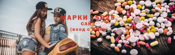 стаф Алексин