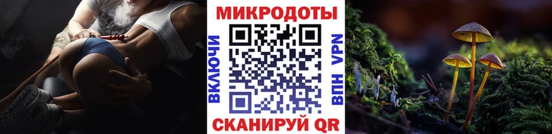 где можно купить   Ярцево  Псилоцибиновые грибы прущие грибы 